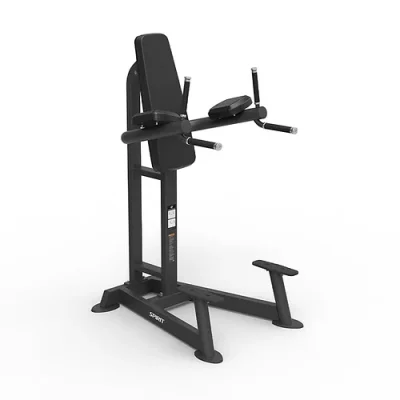 Leg raise/dip machine - Spirit Main Image